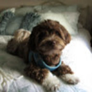 Meet your Posher, Cathy